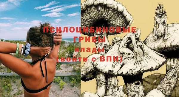 герыч Дмитровск